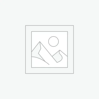 Suspendisse volutpat massa